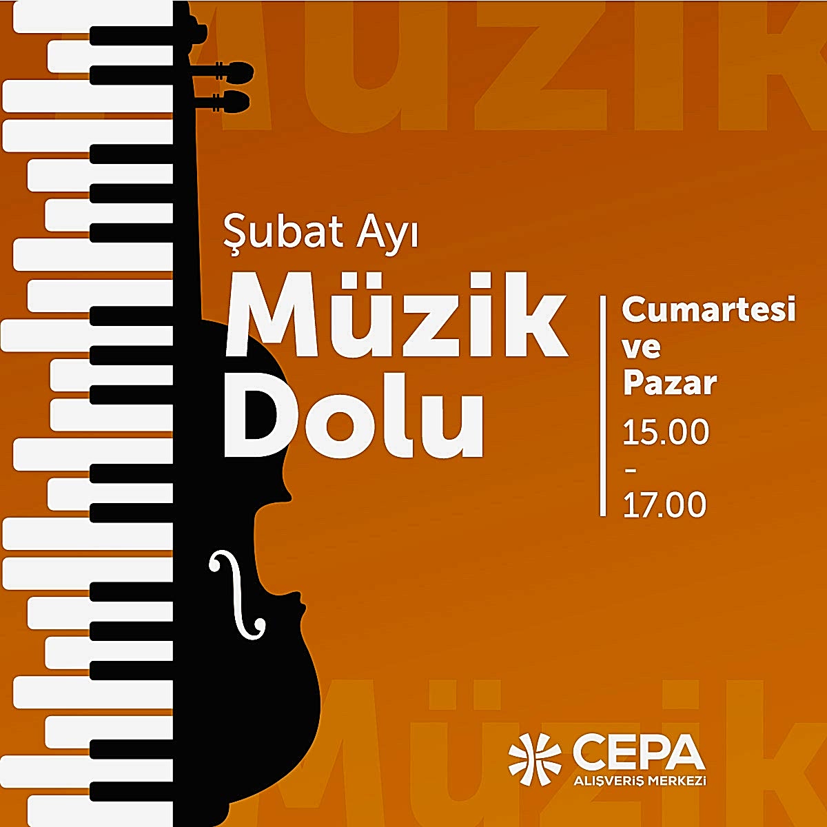 Şubat Ayı Müzik Dolu